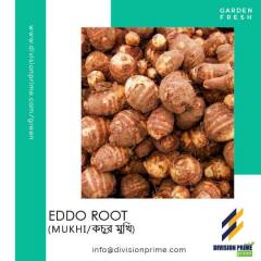 Eddo Root