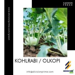 Kohlrabi-Division-Prime-Green