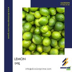 Lemon-Division-Prime-Green