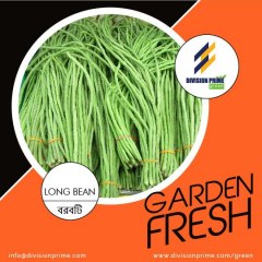 Long-Bean-Division-Prime-Green-1