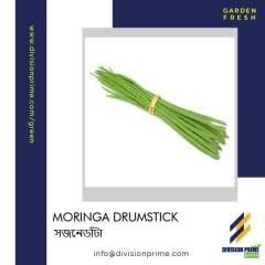 Moringa-Drumstick-Division-Prime-Green