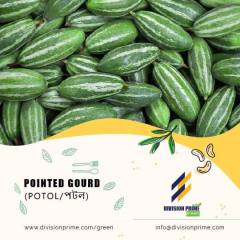 Pointed-Gourd-Division-Prime-Green