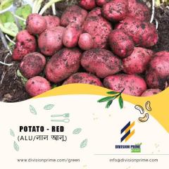 Potato-Red-Division-Prime-Green